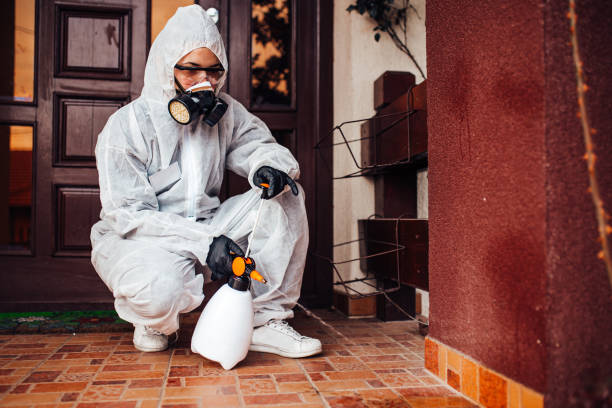 Reliable Wasp Removal contractor in Chetopa, KS by Show Me Pest Control